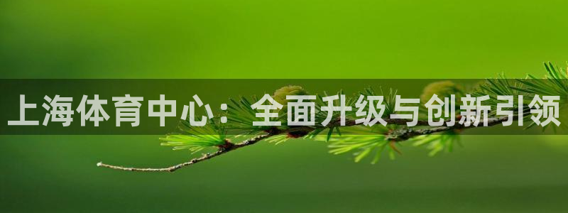 意昂体育4招商电话号码是多少：上海体育中心：全面升级