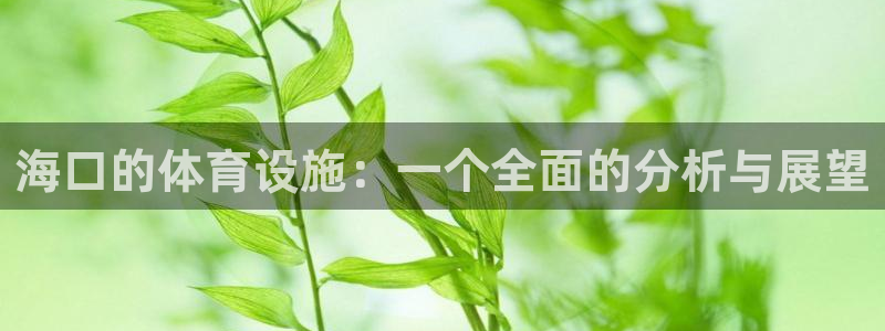 意昂体育4官方客服电话：海口的体育设施：一个全面的分