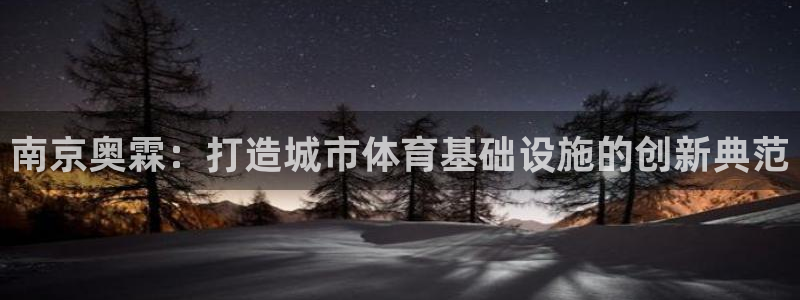 意昂4娱乐下载：南京奥霖：打造城市体育基础设施的创新