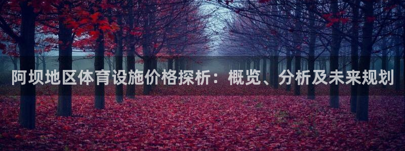 意昂平台体育：阿坝地区体育设施价格探析：概览、分析及