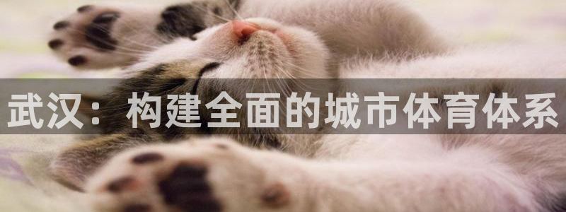 意昂体育4联系电话：武汉：构建全面的城市体育体系
