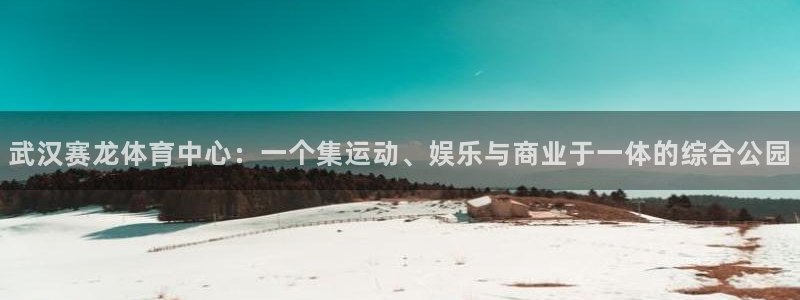 意昂4娱乐是那个系列的台子：武汉赛龙体育中心：一个集