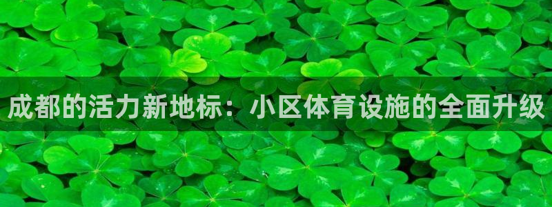 意昂体育4：成都的活力新地标：小区体育设施的全面升级