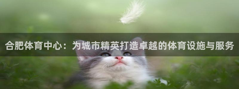 意昂体育4娱乐：合肥体育中心：为城市精英打造卓越的体