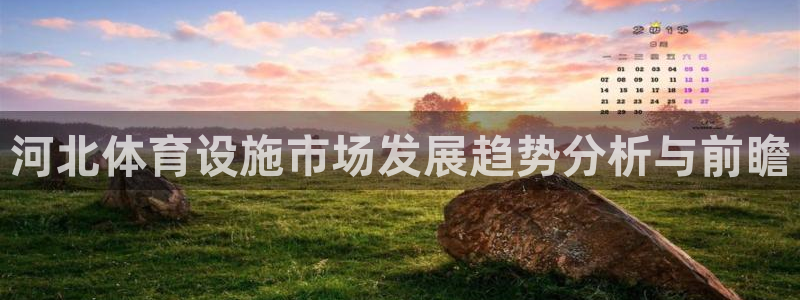 意昂4开户：河北体育设施市场发展趋势分析与前瞻