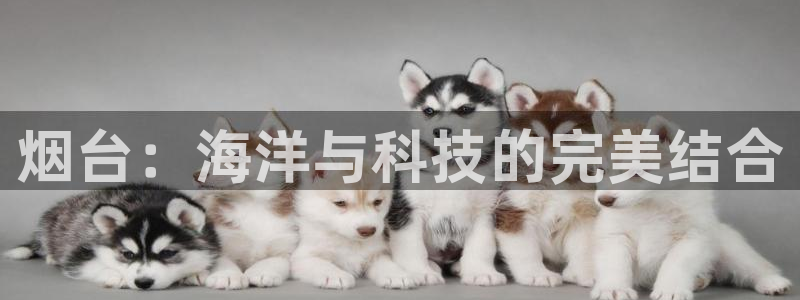 意昂4集团官网网址：烟台：海洋与科技的完美结合