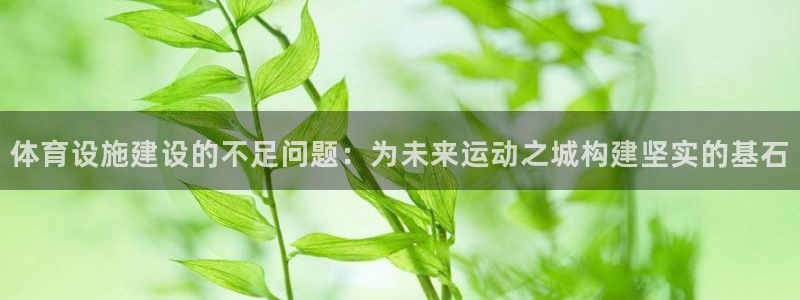 意昂4开户：体育设施建设的不足问题：为未来运动之城构