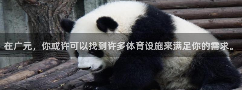 意昂4娱乐40996：在广元，你或许可以找到许多体育