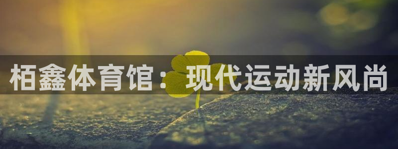 意昂体育4招商：栢鑫体育馆：现代运动新风尚