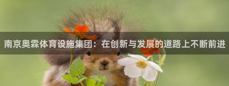 意昂4科技：南京奥霖体育设施集团：在创新与发展的道路