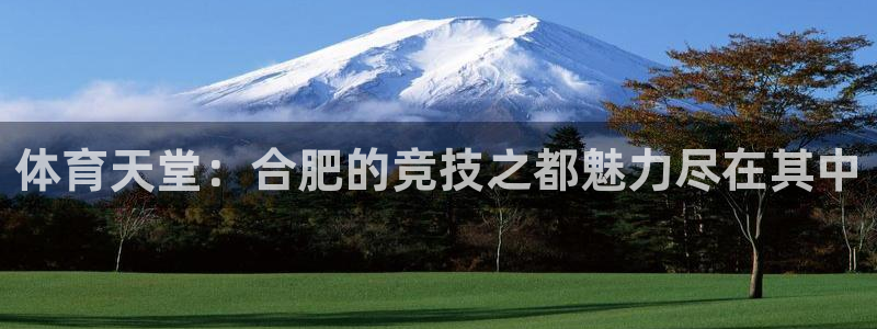 意昂体育4软件：体育天堂：合肥的竞技之都魅力尽在其中