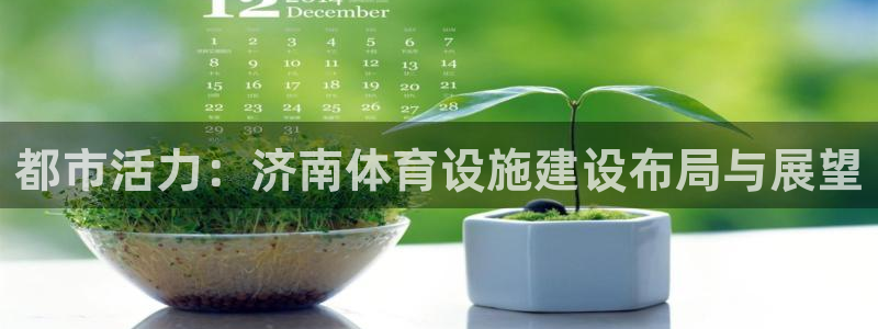 意昂4娱乐网站：都市活力：济南体育设施建设布局与展望