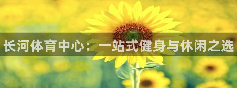 意昂体育4平台APP：长河体育中心：一站式健身与休闲