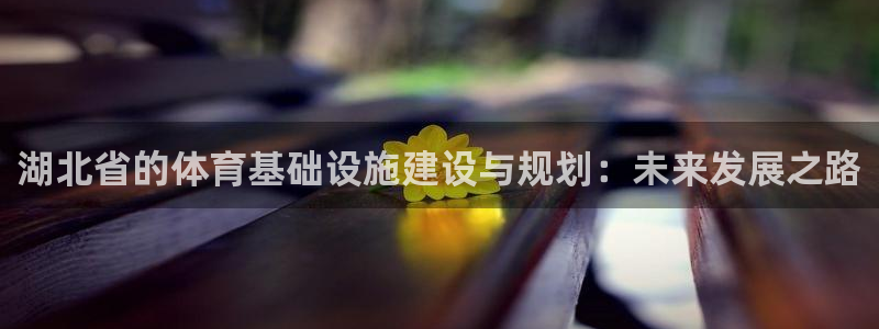 意昂体育4招商电话地址：湖北省的体育基础设施建设与规划：未来