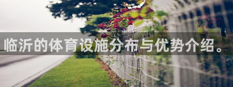 意昂4娱乐首页官网下载：临沂的体育设施分布与优势介绍。 